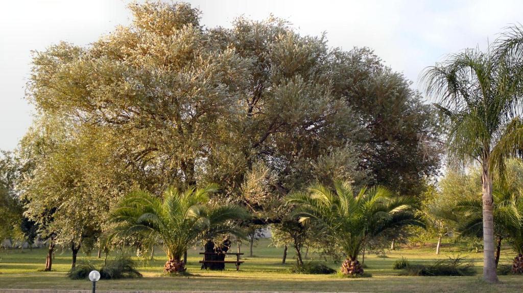 Отель Masseria Grande Торре дель'Орсо Экстерьер фото